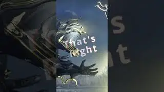 What's REALLY Going On with Warframe's Story