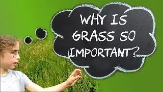 Why is grass so important? Global Science Show on Biodiversity by Wilf Wonders