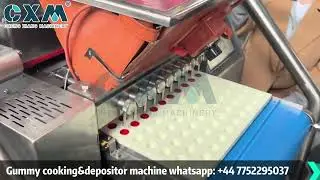 CX-30Q Automatic Gummy Candy Cooking & Depositor Machine | Gummy Bear & Jelly Candy Making Line