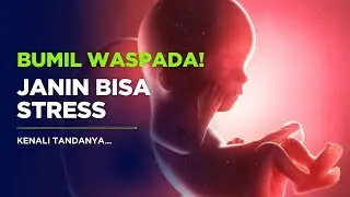 Janin Bisa Stres Dalam Kandungan? Banyak Bunda Belum Tahu!