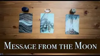 ✨Message from  Moon 🌕 ✨Pick a Card - Tarot Reading