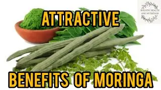 Attractive Benefits of moringa.