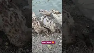 a day near the lake 🤩.#nature#life