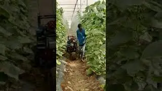 Smallest Spraying machine in India | Poly House Gujrat | Tyre to Tyre Distance is 24 inch
