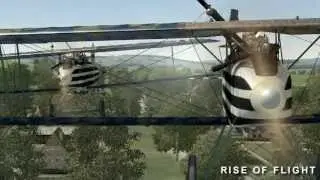 Halberstadt CL.II demo flight in 