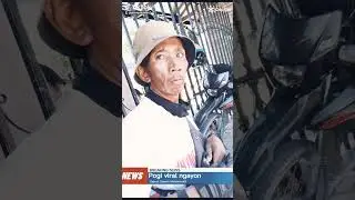 POgIBRO