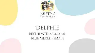 Delphie