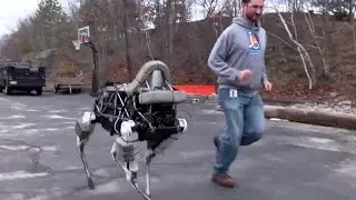 Google Unveils New Robotic Dog