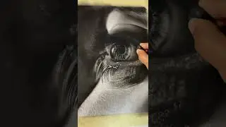 How to draw a realistic eye..#art #drawing #viral #trending #trendingshorts #viral #viralvideo #fyp