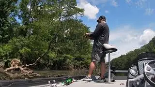 Champagnolle Creek  7.8.23