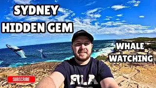 Sydney's Most Underrated But Most Important Coastal Drive And best Whale Watching Spot, Hidden Gem 💎
