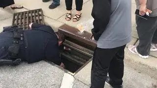 Village of Pewaukee police help rescue baby ducks