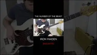IRON MAIDEN #ironmaiden #thenumberofthebeast #steveharris #bass #basscover #bassplayer #heavymetal