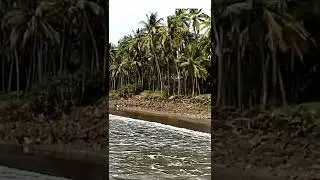 #Murud 🌴🌴🐚🐚🌊nandgaon beach
