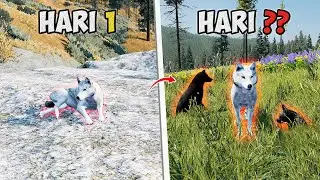 Gua Bertahan Hidup Dari Serigala TERLEMAH Sampai TERKUAT di Wolfquest Anniversary Edition