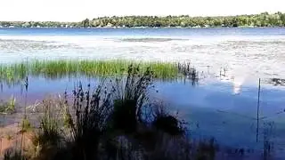 Homes for Sale - TBD E Grosse Point Road Hancock MI 49930 - Darrell Guitar