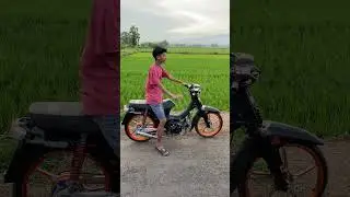 astrea herex style