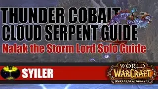 Thundering Cobalt Cloud Serpent Rare Mount Guide - Nalak Solo Guide