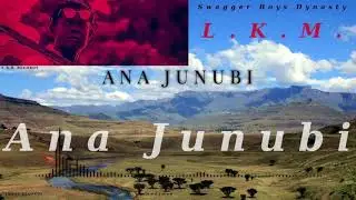 L.K.M. - Ana Junubi [Official Audio]