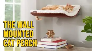 The Wall Mounted Cat Perch