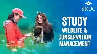 Study Wildlife and Conservation Management at SRUC