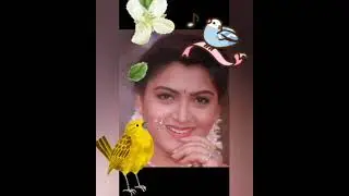 Eval oru Elankuruvi song 💐💐💐