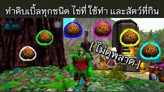 Ark Mobile: Make all kinds of Kibble, the eggs you make, and the animals you eat!