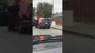 Hayward police in San Leandro, California ￼