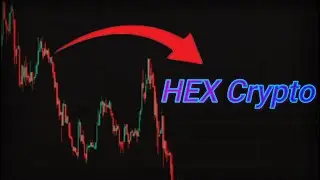HEX Crypto Price Prediction News 24 August - HEX Token