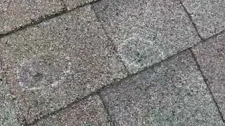 Thornburg Digital Roof Analysis