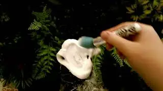 ASMR Schaum