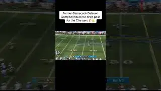 Former Gamecock WR Dalevon Campbell hauls in a deep pass for the Chargers 🐔🤙