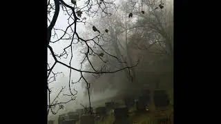 [free for profit] shoegaze deftones quannnic type beat