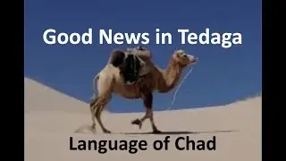 Toubbou, Tedaga language  بشرى سارة في لغة       Kanuri-Saharan people group