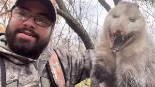 Air Venturi avenger 25. Squirrel hunt/trap check
