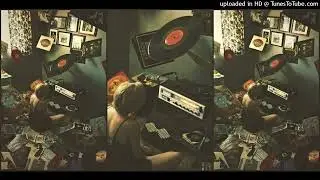 Damon & Naomi - While My Guitar Gently Weeps