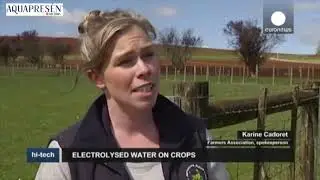 Pflanzenschutz mit elektro-aktiviertem Wasser (neutrales Anolyt)