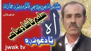 اه سليم ناشاد صاحب.... په ورکه لاره لاړې... ذرې ذرې، ريچې ريچې..