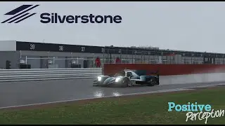 LMU Silverstone 4 Hour Race - Positive Perception
