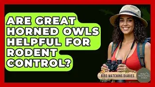 Are Great Horned Owls Helpful For Rodent Control? - Bird Watching Diaries