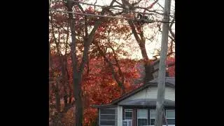 (free) *raw* sad indie guitar type beat 