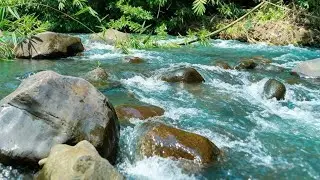 GENTLE WATER FLOW IN TROPICAL FOREST &ndash; SOOTHING RIVER ASMR FOR SLEEP & MIND RELAXATION