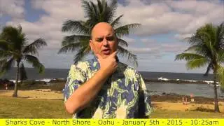 Body language of negotiation - Signs of lying and deceit (5 of 8) Scott Sylvan Bell