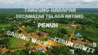 Tanjung Harapan - Telaga Antang - Penuh Sarang Walet dan Kebun Sawit