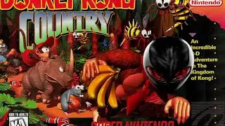 Donkey Kong Country (SNES) - Vine Valley Zone 3