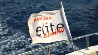 Diving the Red Sea - Elite Diving - Sharm el Sheikh - Jun '18