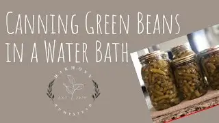 Canning Green Beans in a Water Bath - for beginners