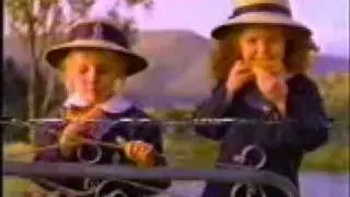 Australian Toaster Biscuits