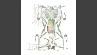 壊れた春