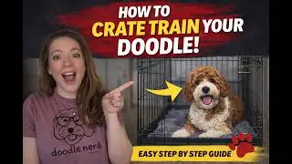 How to Crate Train Your Dog Without Crying | Comfort Tips with Malena DeMartini-Price
